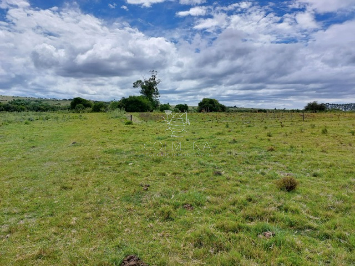 Campo 11 has con 683 m2 en paraje Pueblo Eden - GoPunta - Portal Inmobiliario de Punta del Este - Maldonado