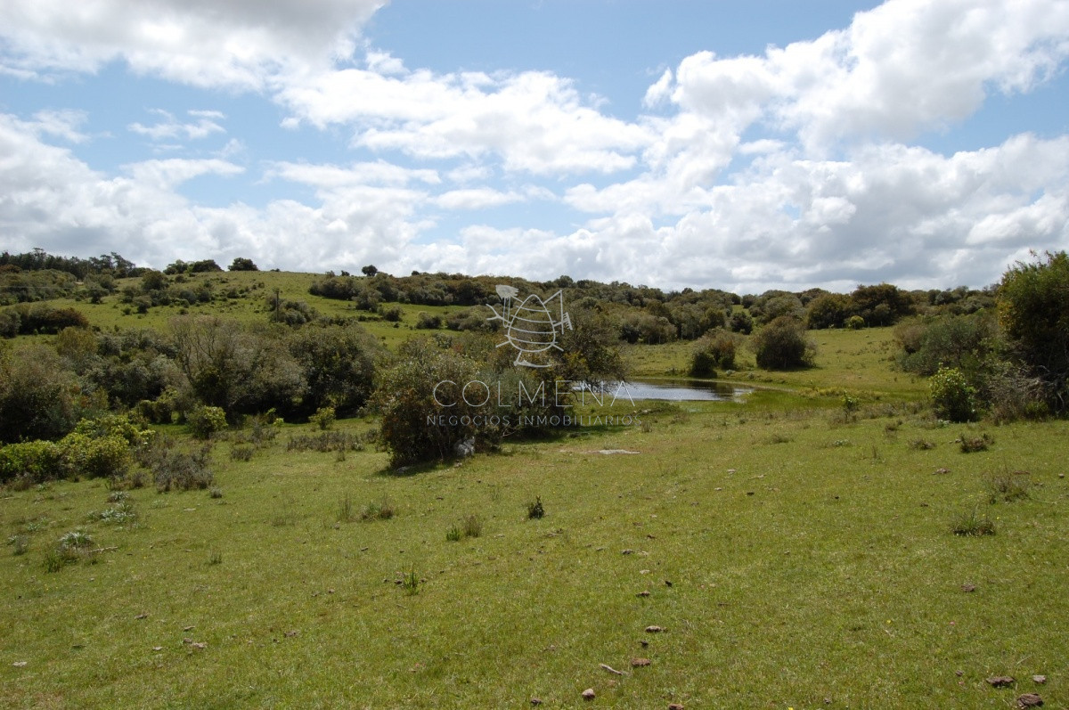 Campo 5 has con casa en Sierra de los Caracoles   Codigo 5379 - GoPunta - Portal Inmobiliario de Punta del Este - Maldonado