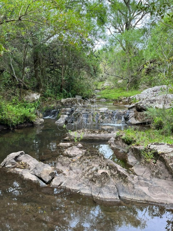 Campo en Carape   con hermosa cañada   Oportunidad !!!!! - GoPunta - Portal Inmobiliario de Punta del Este - Maldonado
