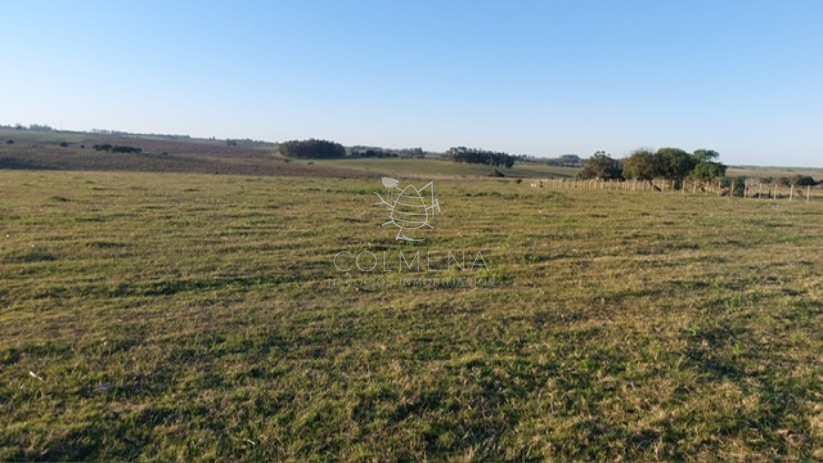 Campo 5 has con un lago ,pasa la luz. - GoPunta - Portal Inmobiliario de Punta del Este - Maldonado