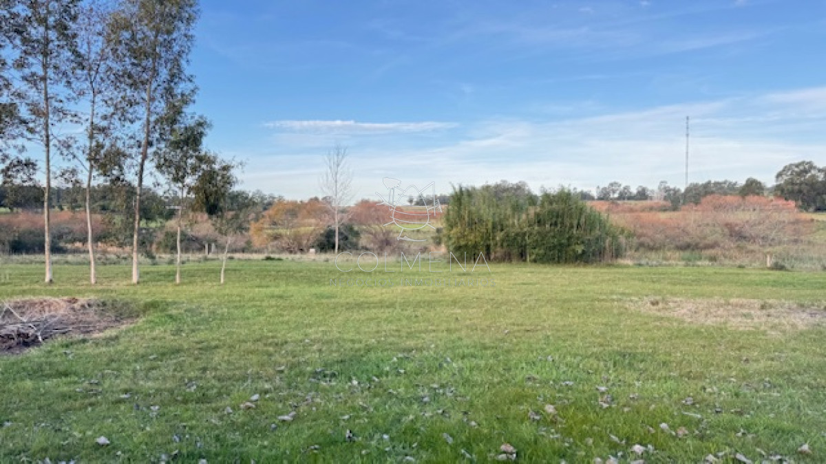 Chacra de 3 has con 5657 m2 en camino Benito Nardone - GoPunta - Portal Inmobiliario de Punta del Este - Maldonado