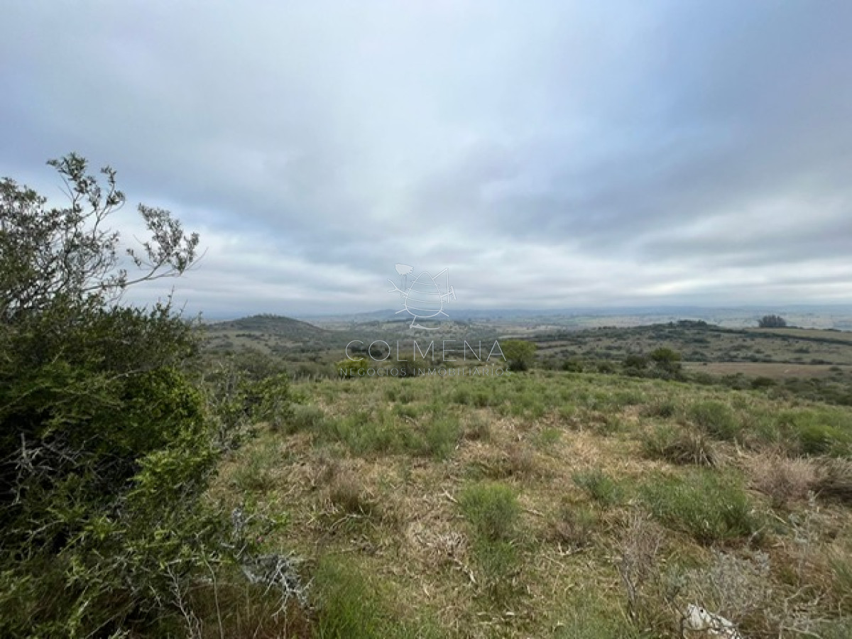 Chacras de 6Has En Pueblo Edén!!! Hermosas vistas a las Sierras. CONSULTENOS! - GoPunta - Portal Inmobiliario de Punta del Este - Maldonado