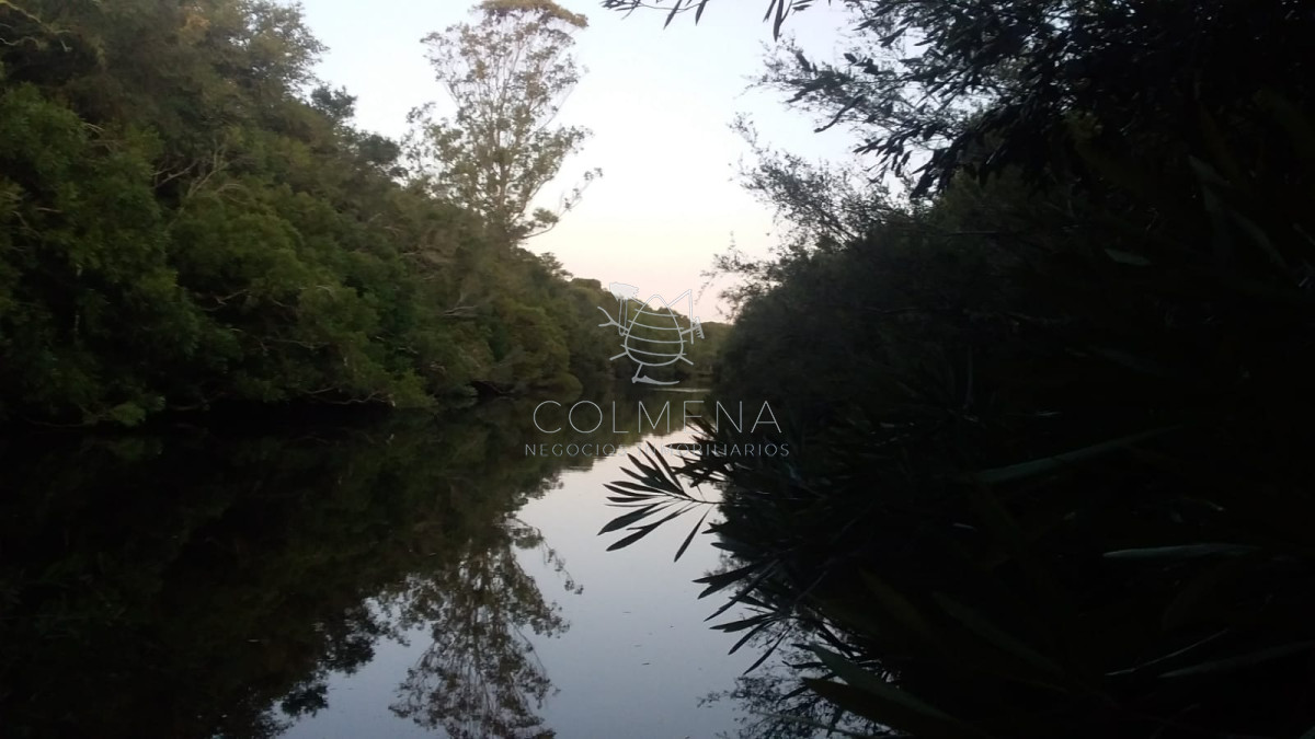 Campo 24 has Casa, galpon, Luz, costa de arroyo y un indice de suelo 10.7   Consulte!!!!! - GoPunta - Portal Inmobiliario de Punta del Este - Maldonado