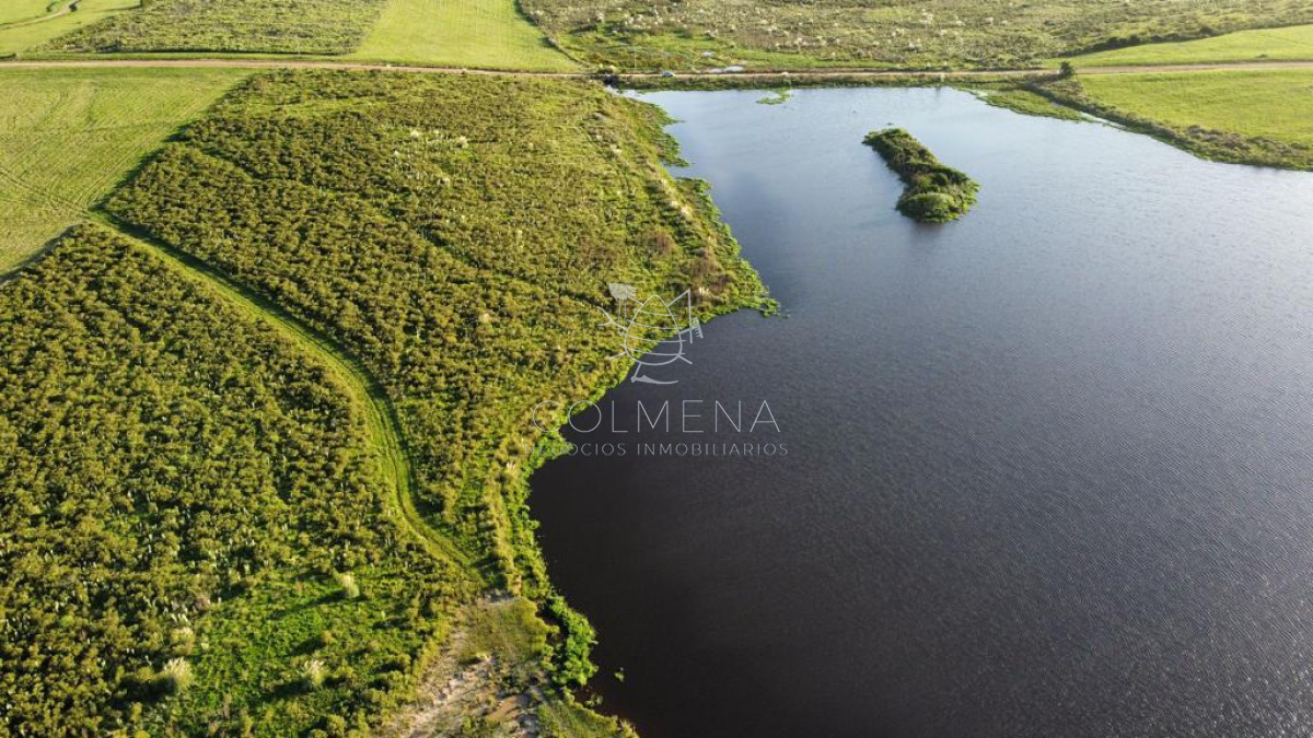 Campo con 300 m  de frente a laguna, cuenta con un islote lugar muy pintoresco. - GoPunta - Portal Inmobiliario de Punta del Este - Maldonado