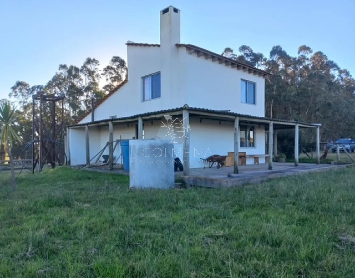 Campo 10 has 4336 m2 en Corte la Leña - GoPunta - Portal Inmobiliario de Punta del Este - Maldonado