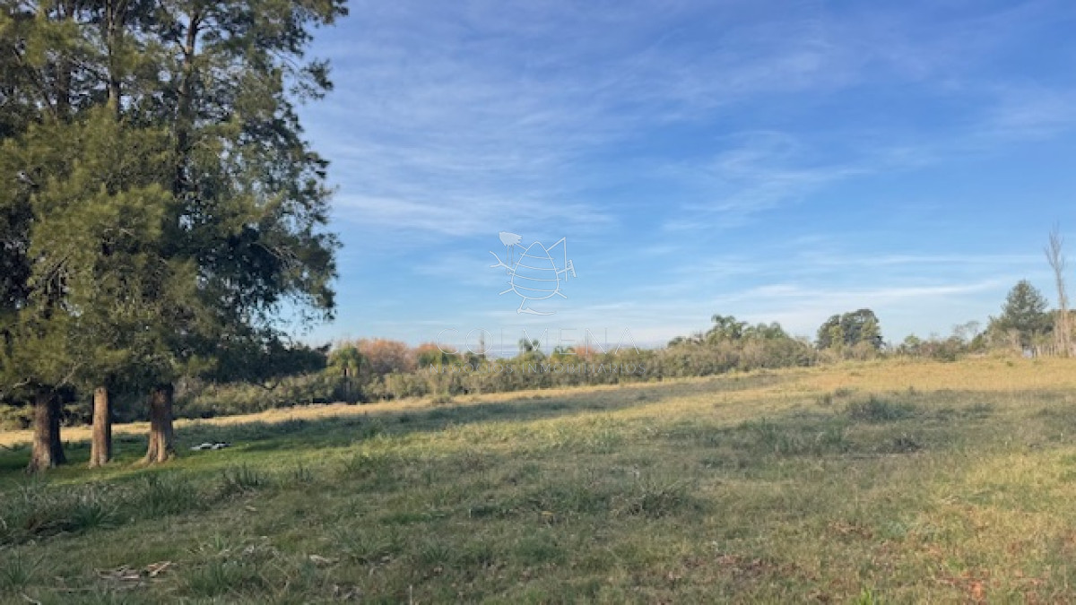 Campo de 4 has 1602 m2 muy cerca de ruta 12 y la 9. - GoPunta - Portal Inmobiliario de Punta del Este - Maldonado