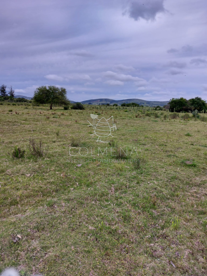 Campo 11 has con 683 m2 en paraje Pueblo Eden - GoPunta - Portal Inmobiliario de Punta del Este - Maldonado