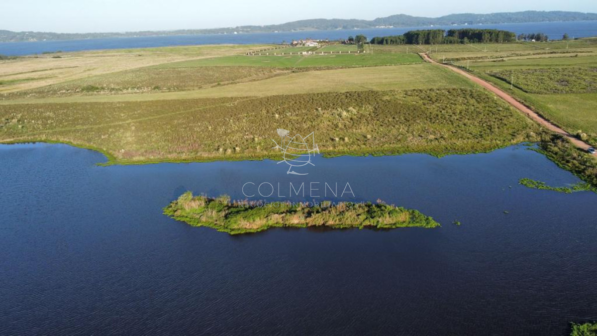 Campo con 300 m  de frente a laguna, cuenta con un islote lugar muy pintoresco. - GoPunta - Portal Inmobiliario de Punta del Este - Maldonado