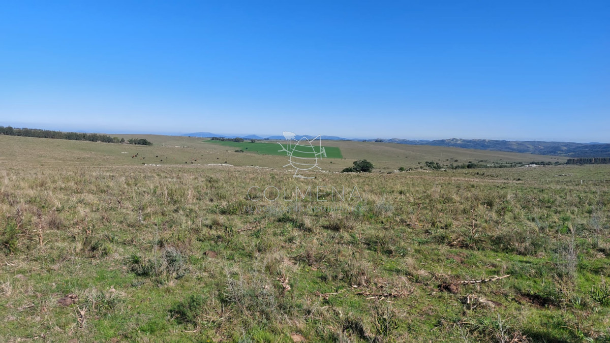 Campo 14 has a pocos km de Pueblo Eden - COL7004P