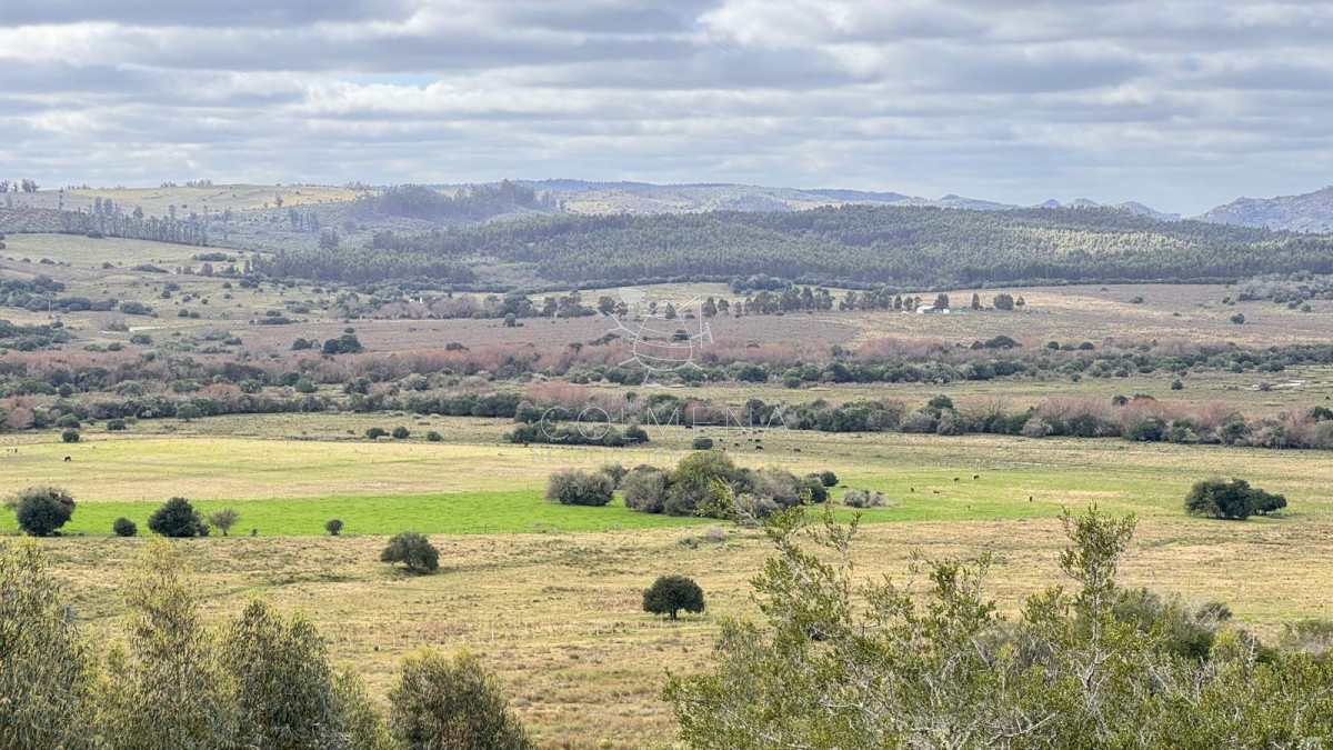 Chacra 5 has  en Campanero con buena vistas y camineria. - GoPunta - Portal Inmobiliario de Punta del Este - Maldonado