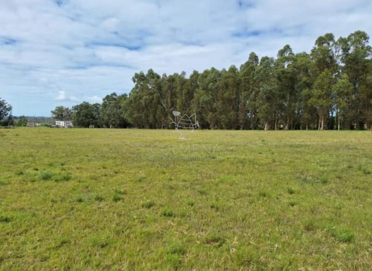 Chacra de 7 has 5437 m2 en los Ceibos - GoPunta - Portal Inmobiliario de Punta del Este - Maldonado