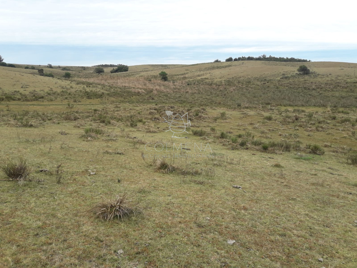 Campo de 6 has en Garzon. Consulte!!!!!!!! - GoPunta - Portal Inmobiliario de Punta del Este - Maldonado