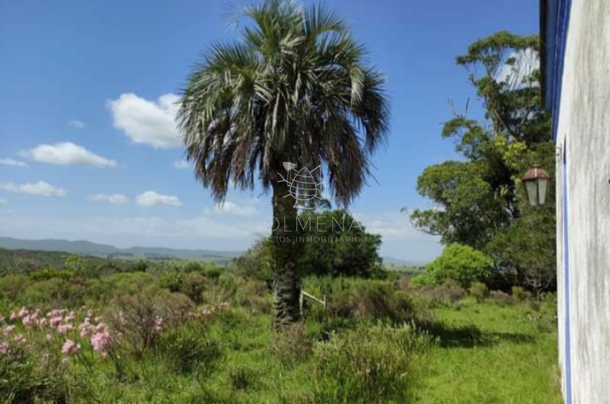 Campo 77 has 4940 m2 cerca ruta 39 - GoPunta - Portal Inmobiliario de Punta del Este - Maldonado