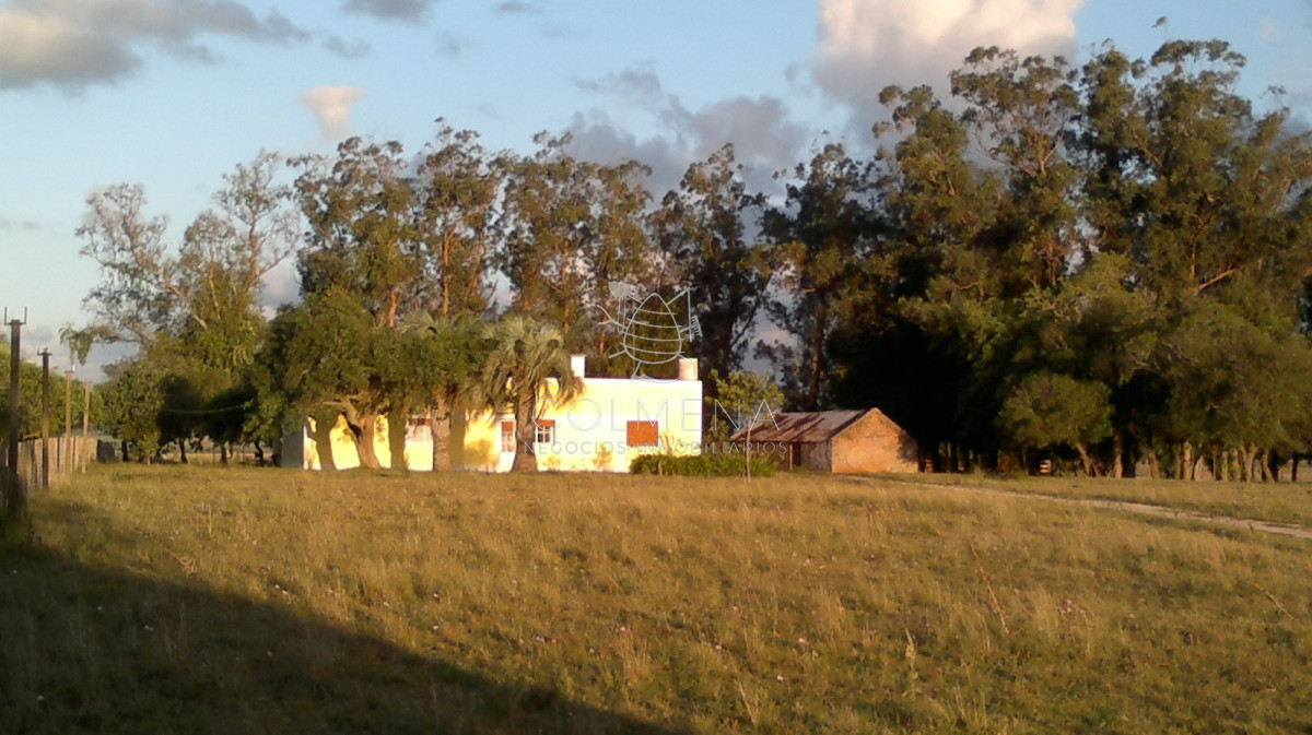 Campo de 35 has buen suelo con tajamar, cañada agua permante y Casa. - GoPunta - Portal Inmobiliario de Punta del Este - Maldonado