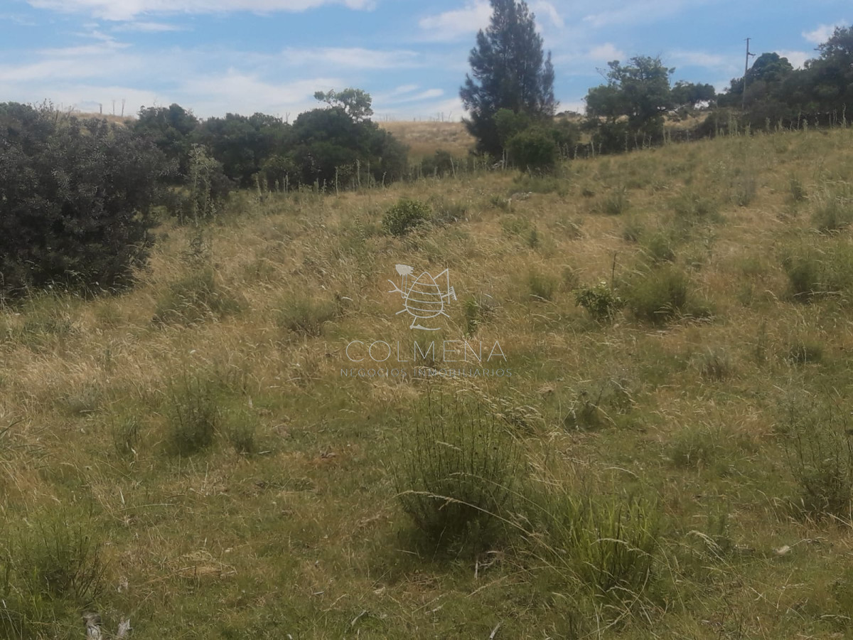 Campo 5 has Cerca de Pueblo Eden   Codigo 5463 - GoPunta - Portal Inmobiliario de Punta del Este - Maldonado