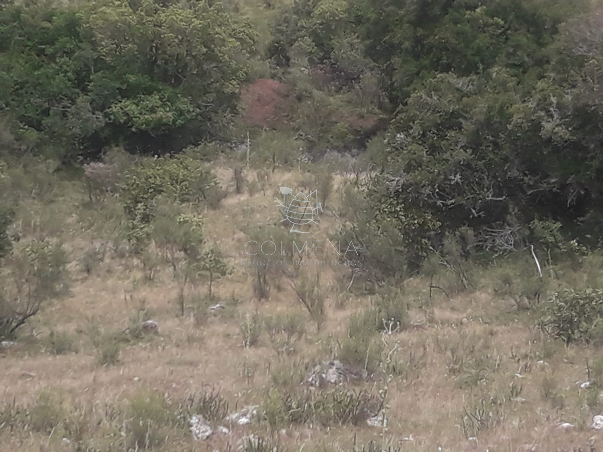 Campo 5 has Cerca de Pueblo Eden   Codigo 5463 - GoPunta - Portal Inmobiliario de Punta del Este - Maldonado