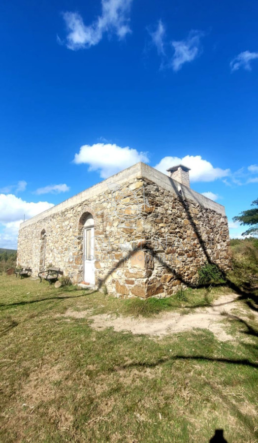 Campo 9 has con casa y plantación de olivos - GoPunta - Portal Inmobiliario de Punta del Este - Maldonado