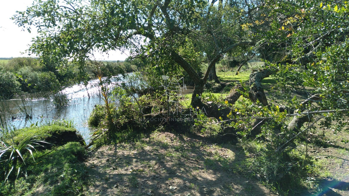 Campo en Partido Norte - GoPunta - Portal Inmobiliario de Punta del Este - Maldonado