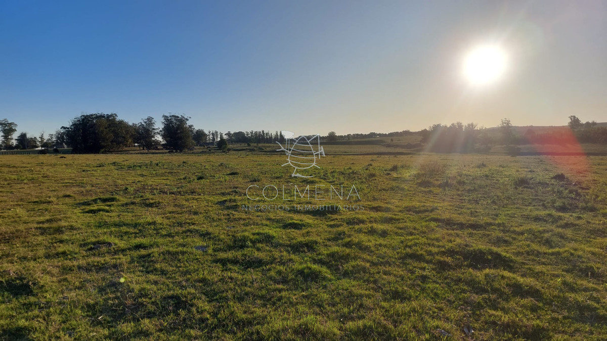 Campo 5 has con un lago ,pasa la luz. - GoPunta - Portal Inmobiliario de Punta del Este - Maldonado