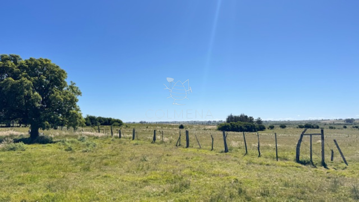 Campo 17 has con 9550 m2 con costa de arroyo - GoPunta - Portal Inmobiliario de Punta del Este - Maldonado