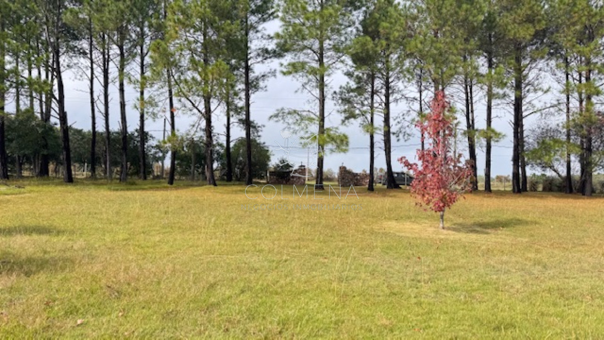 Campo 12 has con casa y piscina a 21 km de Punta del este - GoPunta - Portal Inmobiliario de Punta del Este - Maldonado