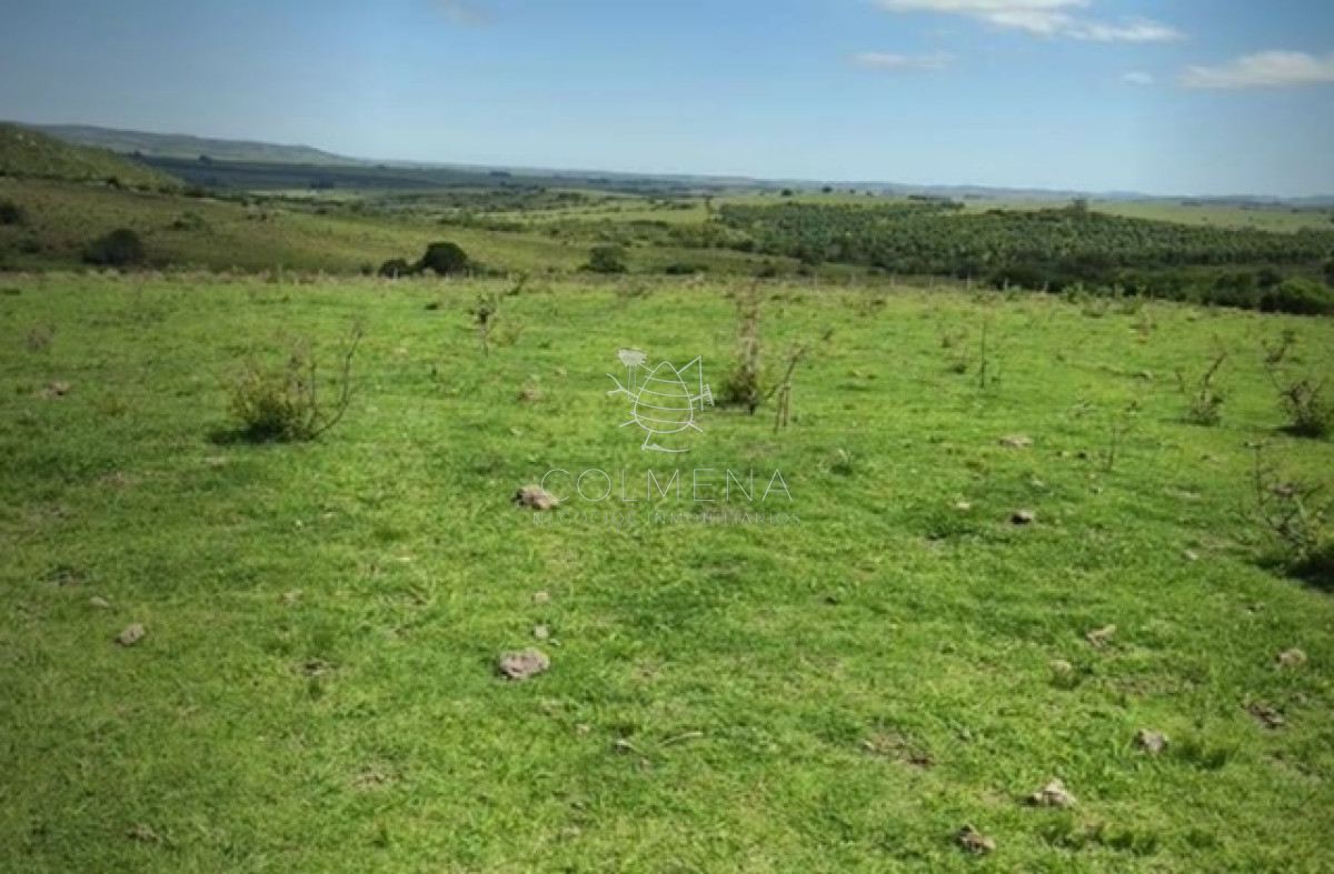 Campo 77 has 4940 m2 cerca ruta 39 - GoPunta - Portal Inmobiliario de Punta del Este - Maldonado