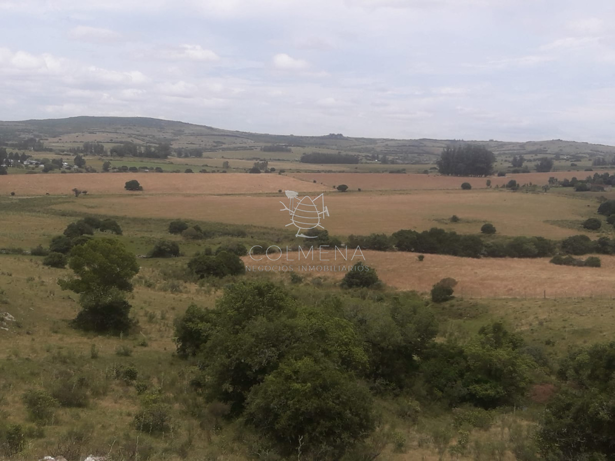 Campo 5 has Cerca de Pueblo Eden   Codigo 5463 - GoPunta - Portal Inmobiliario de Punta del Este - Maldonado