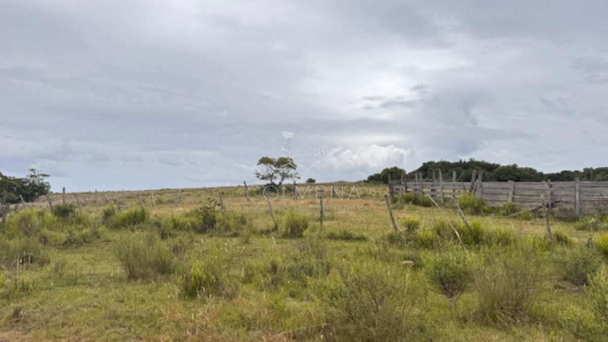 Campo de 78 has en Garzon - GoPunta - Portal Inmobiliario de Punta del Este - Maldonado
