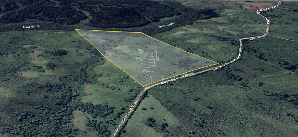 Campo 20 has con 2378 m2 en camino de las sierras de garzón - GoPunta - Portal Inmobiliario de Punta del Este - Maldonado