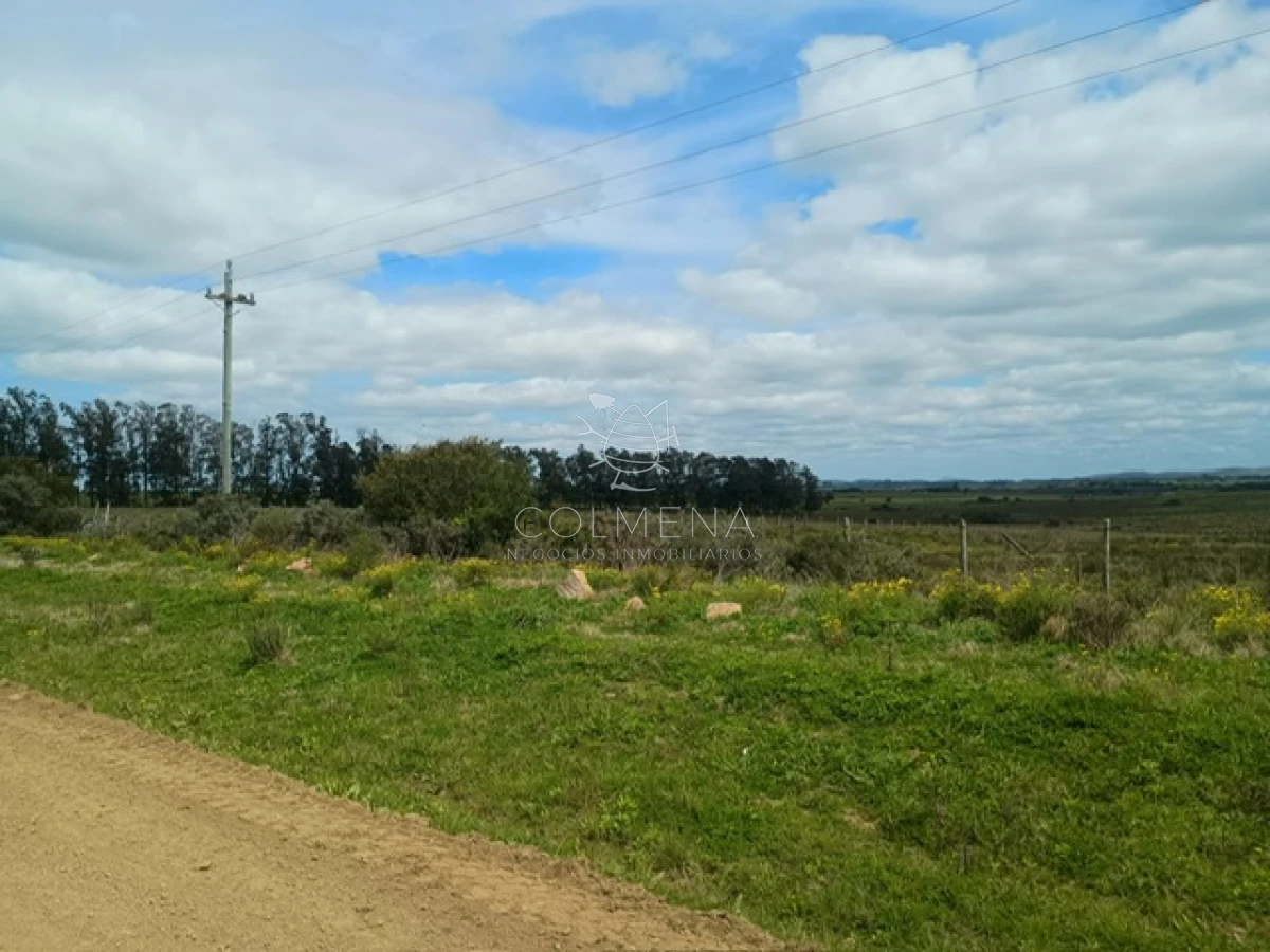 Campo de 5 has en paraje Corte de la Leña - GoPunta - Portal Inmobiliario de Punta del Este - Maldonado