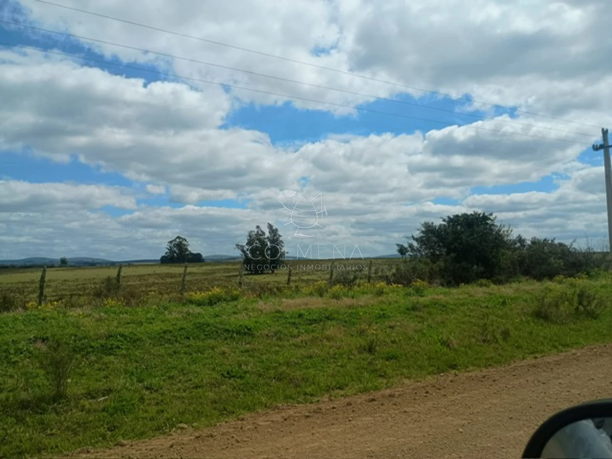 Campo de 5 has en paraje Corte de la Leña - GoPunta - Portal Inmobiliario de Punta del Este - Maldonado