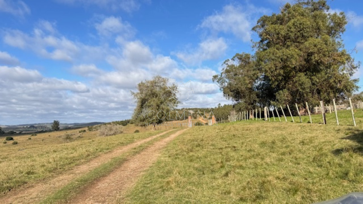 Campo 57 has   Agricola Ganadero cerca de Minas! muy bueno! - GoPunta - Portal Inmobiliario de Punta del Este - Maldonado