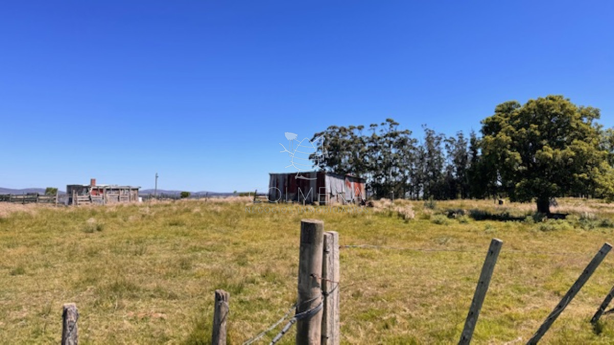 Campo 5 has de invernada a 15 km de San Carlos - GoPunta - Portal Inmobiliario de Punta del Este - Maldonado