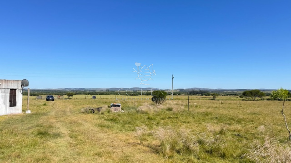 Campo 5 has de invernada a 15 km de San Carlos - GoPunta - Portal Inmobiliario de Punta del Este - Maldonado