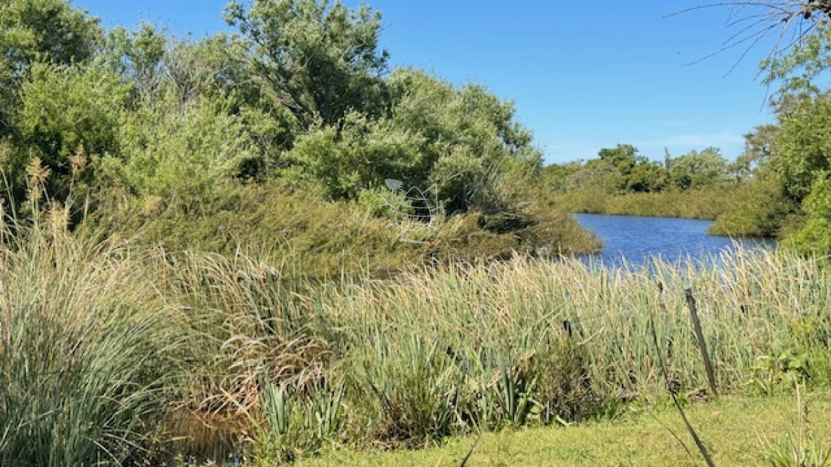 Campo en San Carlos, - GoPunta - Portal Inmobiliario de Punta del Este - Maldonado