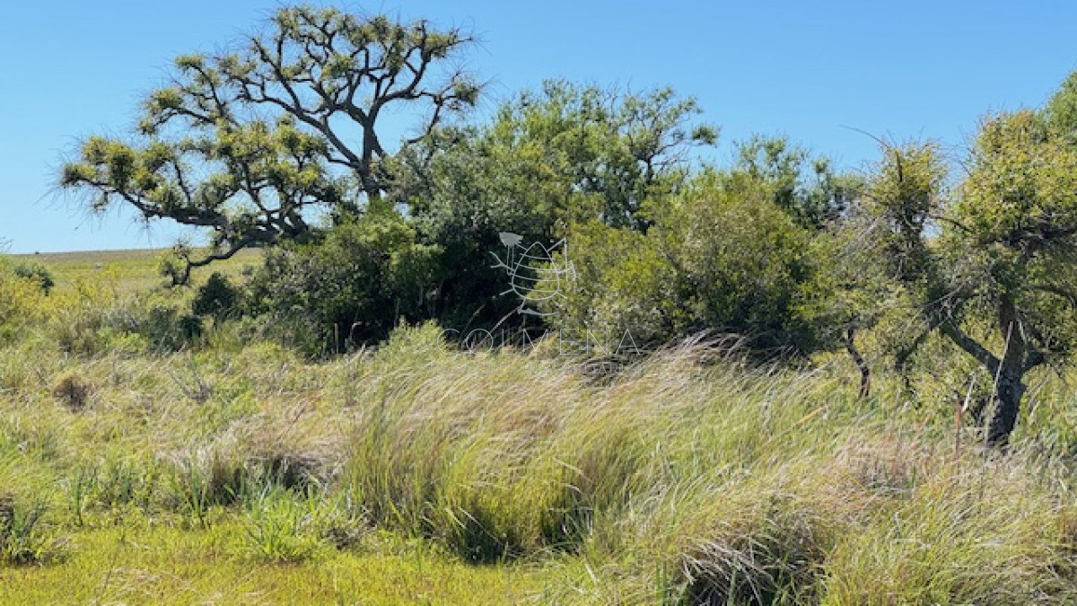 Campo en San Carlos, - GoPunta - Portal Inmobiliario de Punta del Este - Maldonado