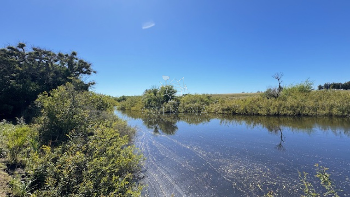 Campo en San Carlos, - GoPunta - Portal Inmobiliario de Punta del Este - Maldonado
