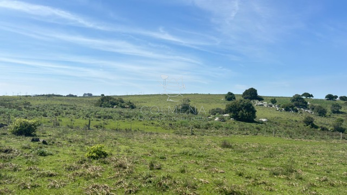 campo de 5 has y media - GoPunta - Portal Inmobiliario de Punta del Este - Maldonado