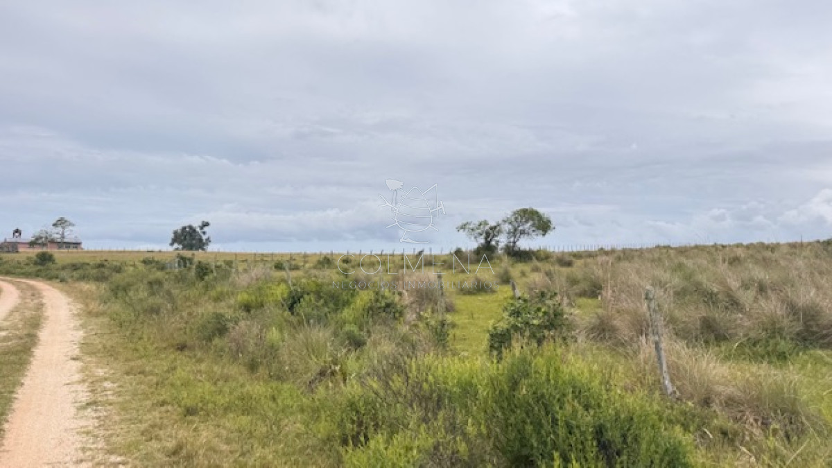 Campo de 78 has en Garzon - GoPunta - Portal Inmobiliario de Punta del Este - Maldonado