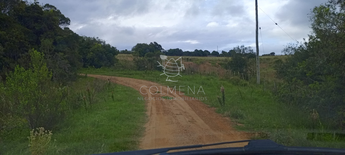 Campo en Rocha hacia ruta 15 - GoPunta - Portal Inmobiliario de Punta del Este - Maldonado