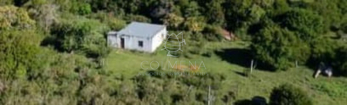 Campo de invernada en Grutas de Salamanca - GoPunta - Portal Inmobiliario de Punta del Este - Maldonado