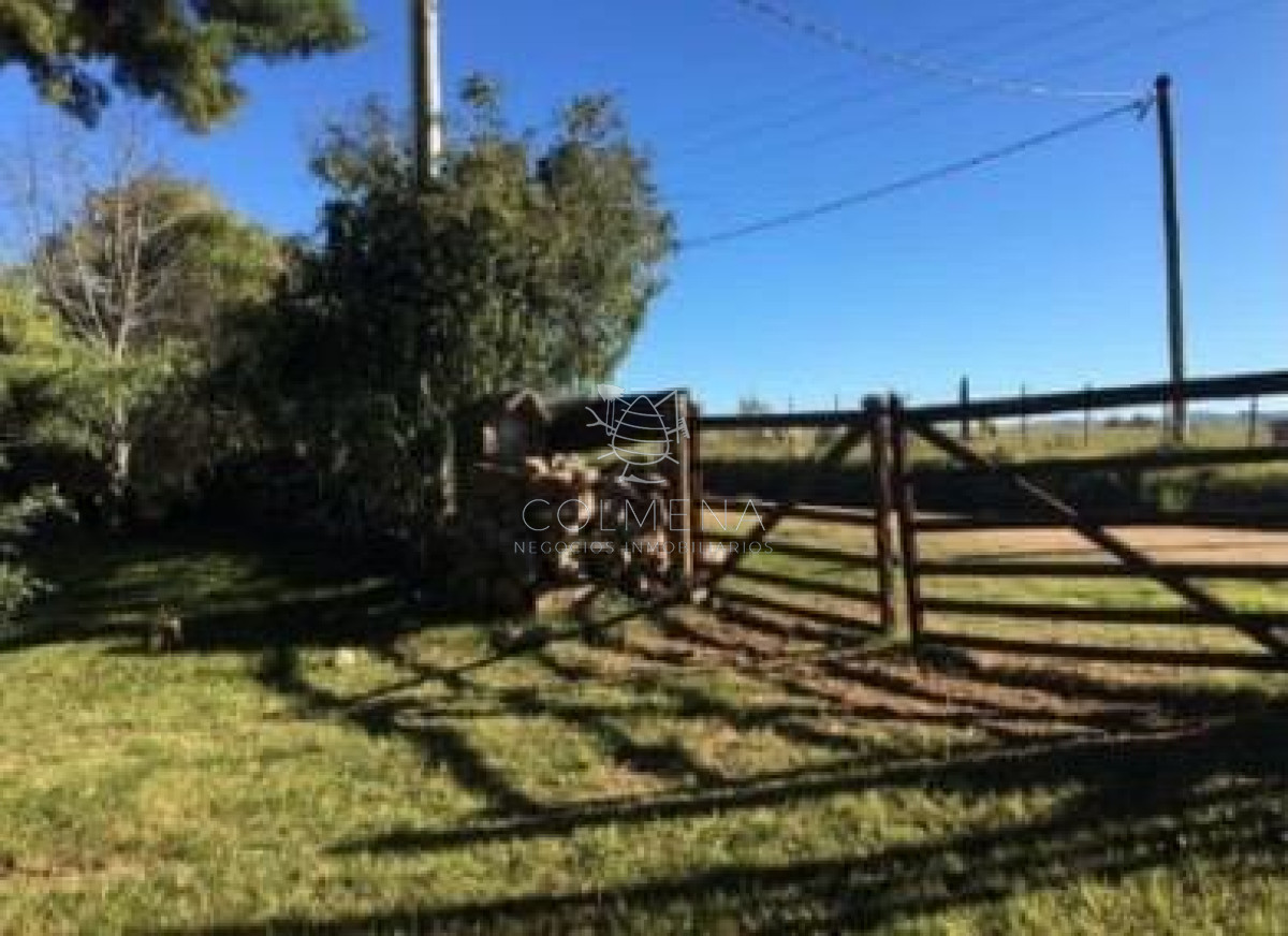 Chacra 5 has en Pueblo Edén, con casa principal cuenta Monte nativo y aguadas. - GoPunta - Portal Inmobiliario de Punta del Este - Maldonado