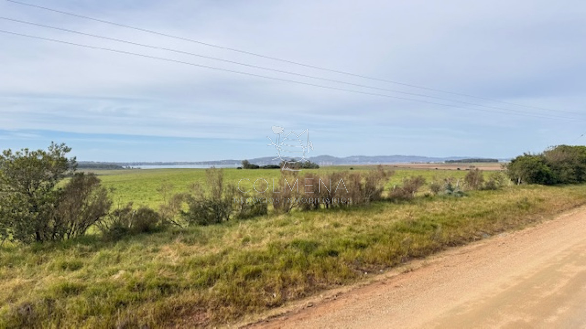 Chacras en Laguna del Sauce - GoPunta - Portal Inmobiliario de Punta del Este - Maldonado