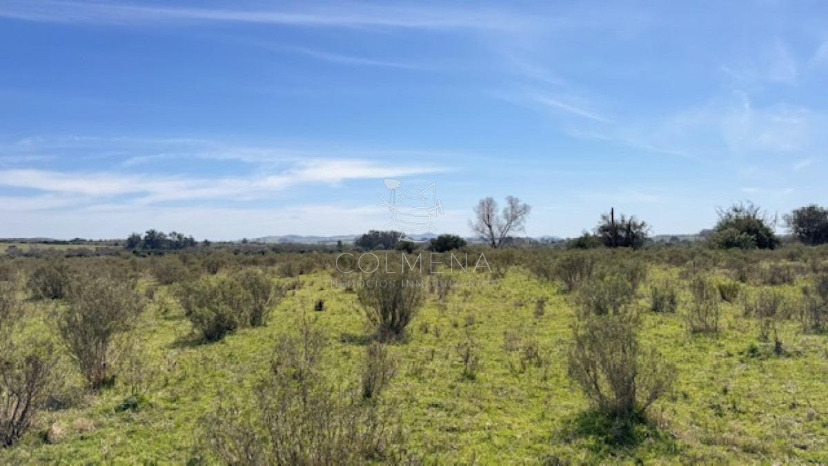 Campo 22 has con costa de arroyo ideal para fraccionar - GoPunta - Portal Inmobiliario de Punta del Este - Maldonado