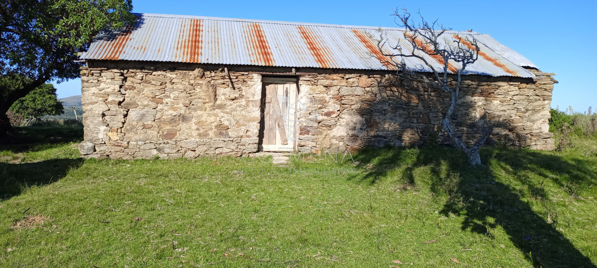 Campo en Rocha hacia ruta 15 - GoPunta - Portal Inmobiliario de Punta del Este - Maldonado