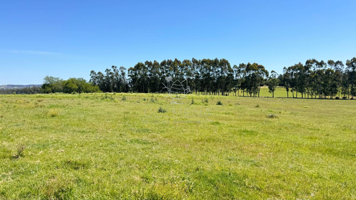Campo 10 has a 10 km de San Carlos - GoPunta - Portal Inmobiliario de Punta del Este - Maldonado