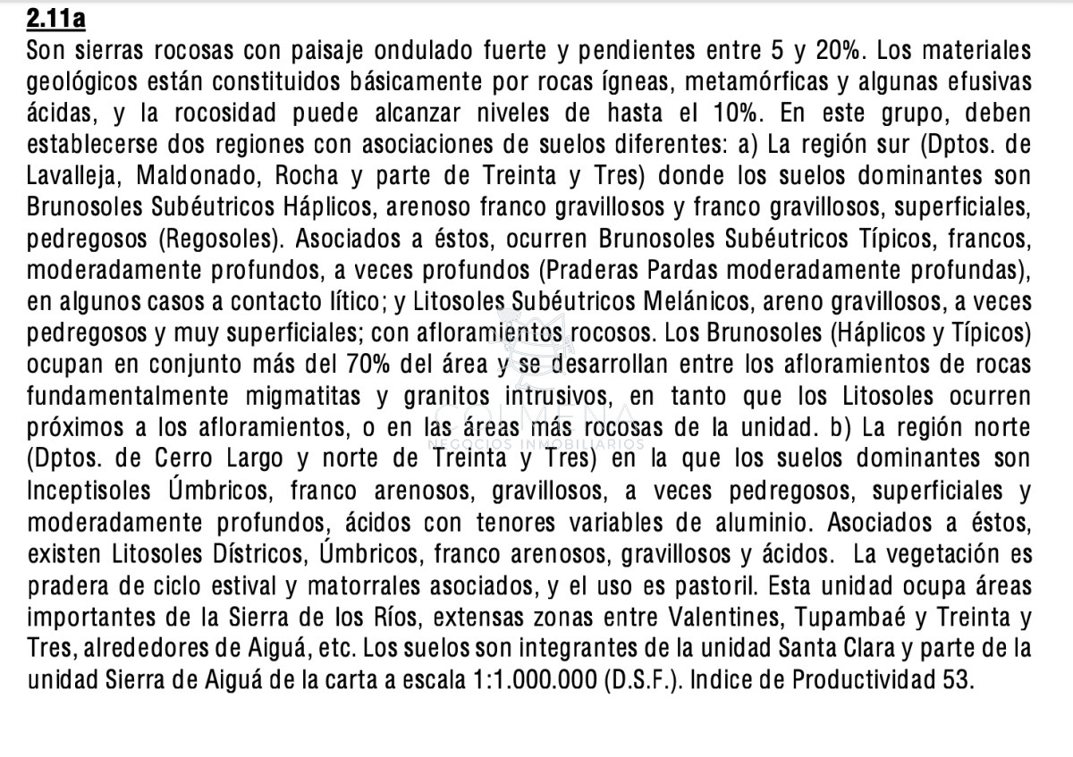 Campo cerca de Ciudad de Aigua - GoPunta - Portal Inmobiliario de Punta del Este - Maldonado