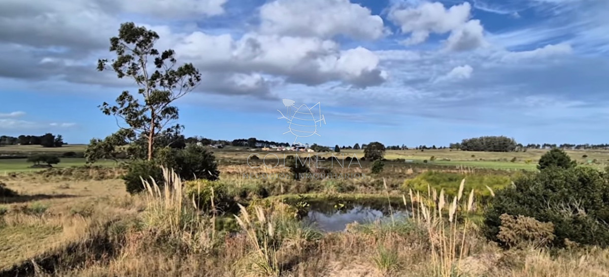 Campo en los Ceibos - GoPunta - Portal Inmobiliario de Punta del Este - Maldonado