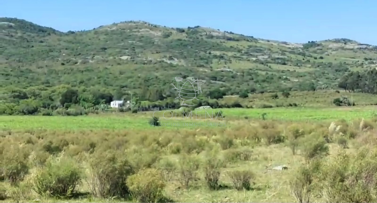 Campos de 6 y 5 has en los Caracoles 35 minutos de Punta del Este - GoPunta - Portal Inmobiliario de Punta del Este - Maldonado