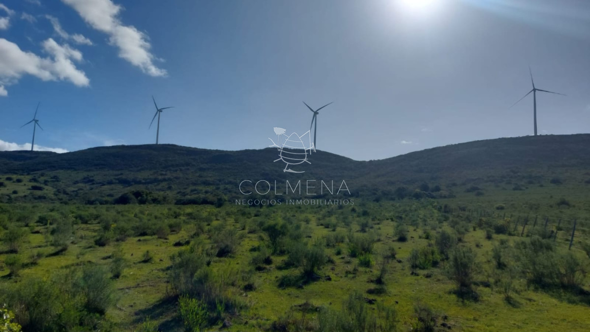 Campos de 6 y 5 has en los Caracoles 35 minutos de Punta del Este - GoPunta - Portal Inmobiliario de Punta del Este - Maldonado
